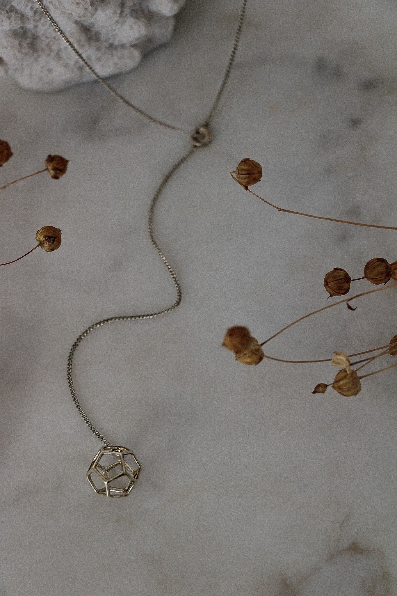 Holy Geometry Dodecahedron Lariat Necklace